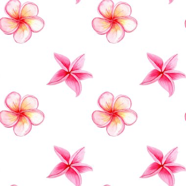 Pembe Tesisatçılık çiçeği pürüzsüz deseni. Suluboya elle boyanmış. Spa markası, tropikal ambalaj, yaz düğünü dekorasyonu, tekstil tasarımı, tebrik kartları, botanik çizimler için ideal. Dikey.