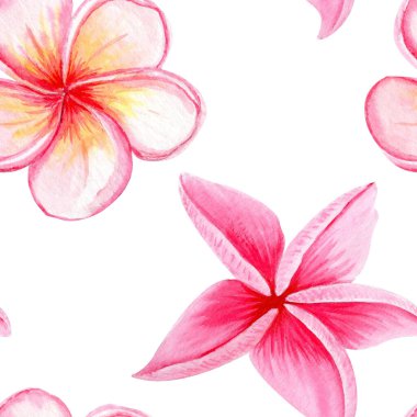 Pembe tesisat çiçekleri beyazın üzerinde pürüzsüz desen oluşturuyor. Elle boyanmış suluboya. Spa markası, tropikal ambalaj, yaz düğünü dekorasyonu, tekstil tasarımı, tebrik kartları, botanik çizimler için ideal