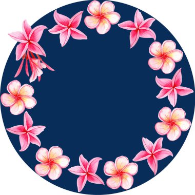 Pembe Plumeria çiçek çelengi. Suluboya elle boyanmış. Spa markası, seyahat tropikal ambalajı, yaz düğün dekorasyonu, tekstil tasarımı, tebrik kartları, botanik çizimler için ideal. Mavi