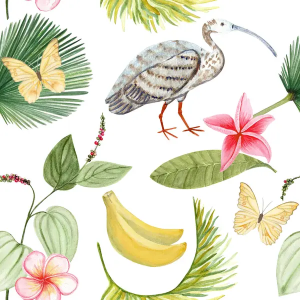 Pembe tesisat çiçekleri, yapraklar, Ibis kuşu, kelebek, muz, biber bitkisi dikişsiz desen. Kaplıca, tropikal ambalaj, yaz dekorasyonu, tekstil tasarımı, kartlar, botanik