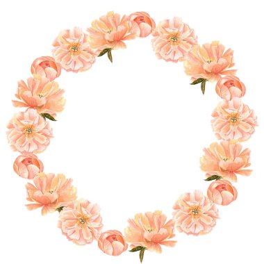 Yumuşak şeftali tonları ve suluboya çerçeveli şakayık çiçekli kafa. Elle boyanmış çelenk düğün davetiyeleri, kadınsı marka, ambalaj, kumaş tasarımı, kırtasiye ve kartlar için mükemmel. Mercan cazibesi rengi.