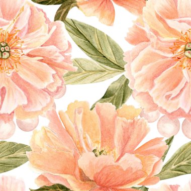 Pembe şakayık yaprakları sürekli dizayn edilen incilerle çevrili, suluboya terzi desenleri beyaza izole edilmiş. Kumaş baskıları, düğün dekorasyonu, kadınsı damgalama, ambalaj, duvar kağıdı için mükemmel..