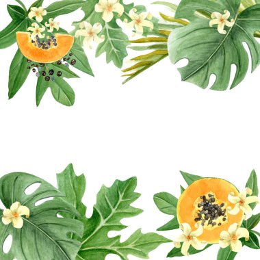 Tohumları, yaprakları ve çiçekleri olan Papaya dilimi beyaza izole edilmiş suluboya çerçeve. Elle boyanmış tropikal meyve tokası sanatı mutfak tasarımları, etiketler, baskılar, kartlar, paket menüleri için mükemmeldir..