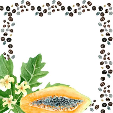 Papaya tohumlar, yapraklar ve çiçeklerle ikiye bölünmüş suluboya kare çerçeve beyaza izole edilmiş. Elle boyanmış tropikal meyve tokası sanatı mutfak tasarımları, etiketler, baskılar, kartlar, paketler için mükemmeldir.