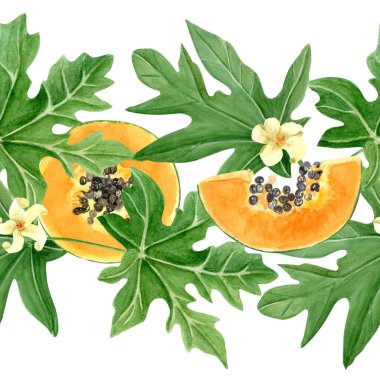 Papaya meyvesi dilimi, yaprak ve çiçek sulu boyası beyaza izole edilmiş. Kartlar, pankartlar, bant, tekstil ve sabit tasarım için mükemmel bir el çizimi. Egzotik bitki klipsi. Yemyeşil
