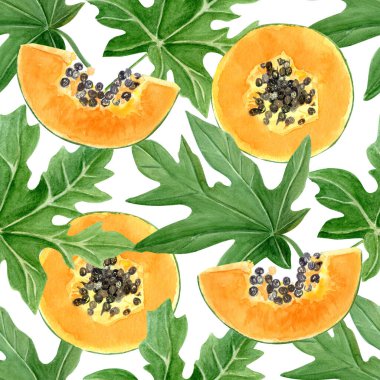 Papaya meyve dilimleri ve beyaz arka planda suluboya kenarsız sınır bırakır. Kartlar, pankartlar, bant, tekstil ve sabit tasarım için mükemmel bir el çizimi. Egzotik bitki klipsi. Yeşillik.