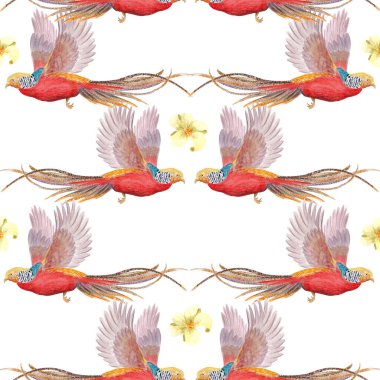 Uzun kuyruklu uçan tropikal kuşlar ve beyaz çiçekli suluboya dikişsiz beyaz kenarlı. Düğün kırtasiyesi, kumaş baskısı ve yaz projeleri için mükemmel bir el boyası. Altın sülün.
