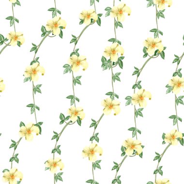 Beyaz çiçekli Liana dalları, beyaza izole edilmiş sulu boya desenli. Kartlar, posterler, botanik desenler, ekolojik dekor, tropikal yağmur ormanları tasarımı için el çizimi mükemmel. Doğa klipsi