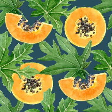 Papaya meyve dilimleri ve koyu arka planda suluboya kenarsız sınır bırakır. Kartlar, pankartlar, bant, tekstil ve sabit tasarım için mükemmel bir el çizimi. Egzotik bitki klipsi. Yeşillik.