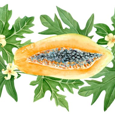 Papaya meyvesi dilimi, yaprak ve çiçek sulu boyası beyaza izole edilmiş. Kartlar, pankartlar, bant, tekstil ve sabit tasarım için mükemmel bir el çizimi. Egzotik bitki klipsi. Yemyeşil