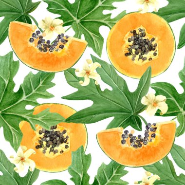 Papaya meyvesi dilimi, yaprak ve çiçek sulu boyası beyaza izole edilmiş. Kartlar, pankartlar, bant, tekstil ve sabit tasarım için mükemmel bir el çizimi. Egzotik bitki klipsi. Yemyeşil
