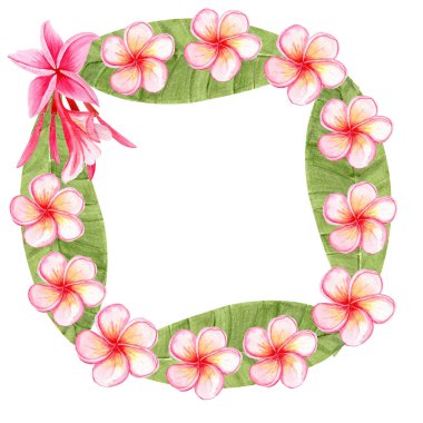 Yaprakları suluboya tropik çiçek desenli Plumeria frangipani çiçekleri. Düğün davetiyeleri, spa markaları, tebrik kartları, ambalajlar, yaz temalı tasarımlar için mükemmel. Pembe sarı ve yeşil renkler