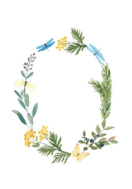 Botanik suluboya oval çerçeve beyaza izole edilmiş. Bitkiler, böğürtlenler, çiçekler, yusufçuklar, kelebekler. Davetiyeler, ambalaj, markalaşma, tebrik kartları, çevre dostu tasarımlar için kırsal doğal çelenk.