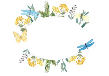 Bitkiler, böğürtlenler, çiçekler, yusufçuklar ve kelebeklerle botanik suluboya çerçevesi. Davetiyeler, ambalajlar, markalar, tebrik kartları, çevre dostu tasarımlar için kırsal doğal çelenkler. Yatay.