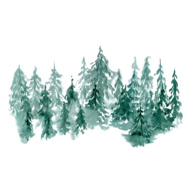 Yoğun yeşil orman, katmanlı köknar ve çam ağaçlarıyla suluboya resimler beyaza izole edilmiş. Yumuşak, doğal, biraz kırsal görünüm ambalaj, kartlar, markalaşma, doğa temaları, macera için mükemmel