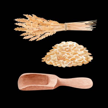 Altın buğday demeti, tahta kaşık, tahıl kepçesi seti. Siyaha izole edilmiş suluboya çizimi. El boyaması. Fırın markaları, organik ürün etiketleri, kırsal ambalajlar, hasat tasarımları için ideal..