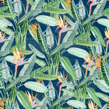 Strelitzia çiçekleri ve yemyeşil yapraklar mavi arka planda dikişsiz suluboya desenleri. Parlak ve egzotik tasarım kumaş, duvar kağıdı, ambalaj kağıdı ve yaz temalı dekoratif için idealdir.