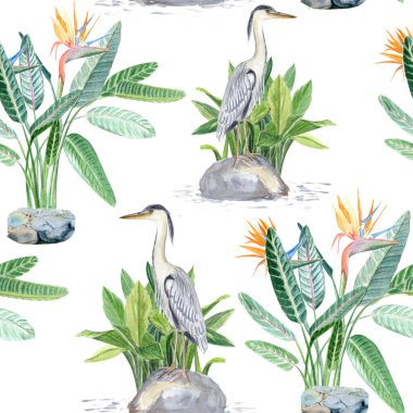 Balıkçıllar, tropik bitkiler, taşlar ve su elementleri. Beyaz üzerine sulu boya deseni. Botanik tasarımlar, egzotik desenler, doğa temaları, zen tarzı dekorasyonlar için mükemmel. Asya kaynaklı