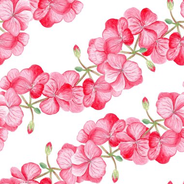 Pembe sardunya çiçekleri ve tomurcukları beyaz arkaplanda kusursuz suluboya deseni oluşturur. El boyaması çiçek deseni, kumaş baskıları, hediye paketleri, duvar kağıtları, kırtasiye malzemeleri ve düğün dekorasyonu için mükemmel..