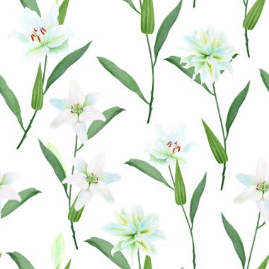 Yeşil saplı beyaz zambak çiçekleri beyaza izole edilmiş sulu boya desenli. Kartlar, posterler, çıkartmalar, Paskalya, vaftiz baharı, anneler günü, düğün kartları için mükemmel bir klip sanatı..