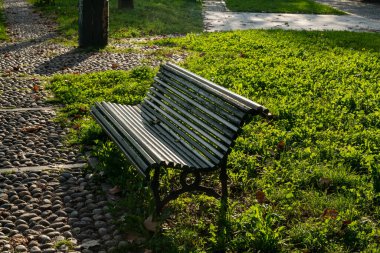 The bench in the park, a comfortable break, relaxation. a unique glimpse of a landscape in the enchantment of the autumn season. taking a break, surrounded by rays of sunshine. background clipart