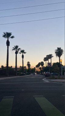 Phoenix, Arizona 'da Günbatımında Palmiye Ağaçları