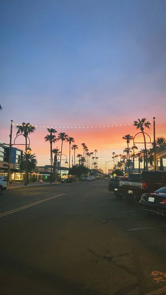 Palm Trees Sunset Old Town Scottsdale Arizona — стокове фото