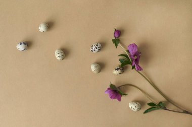 flower with quail eggs on a beige background. Easter concept