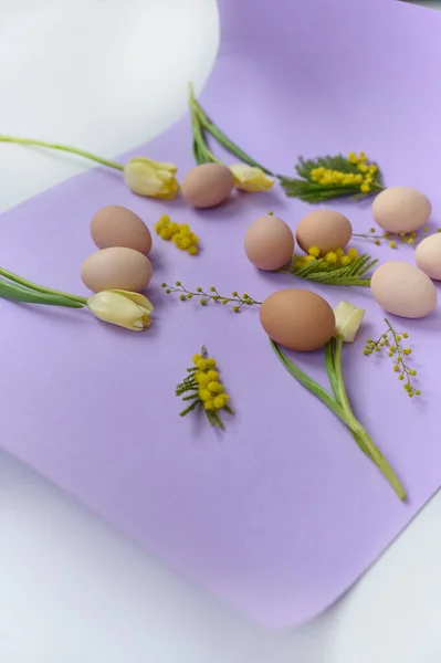 Bright Composition Chiken Eggs Yellow Tulips Purple Background — 스톡 사진