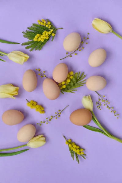 Klar Sammensetning Chiken Egg Gule Tulipaner Lilla Bakgrunn – stockfoto