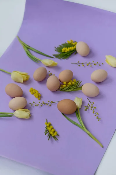 Klar Sammensetning Chiken Egg Gule Tulipaner Lilla Bakgrunn – stockfoto