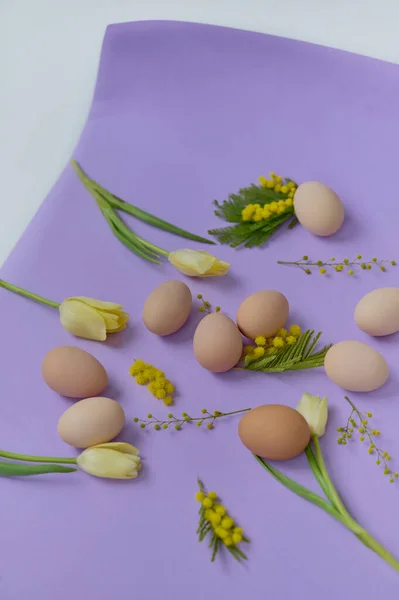 Bright Composition Chiken Eggs Yellow Tulips Purple Background — Zdjęcie stockowe