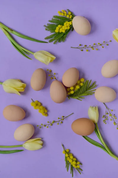 Bright Composition Chiken Eggs Yellow Tulips Purple Background — Fotografia de Stock