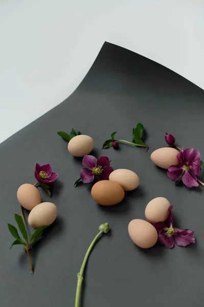 Chiken Eggs Burgundy Flowers Black Background — 스톡 사진