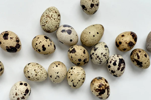 Quail Eggs White Background Rop View Easter Concept 스톡 이미지
