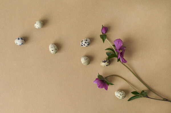 Flower Quail Eggs Beige Background Easter Concept Royalty Free Stock Photos