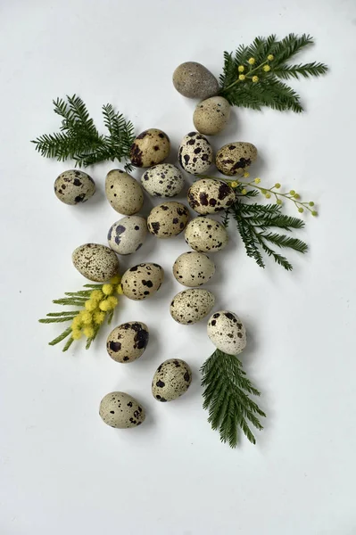 Перепелиные Яйца Зелеными Листьями Белом Фоне Вид Сверху Пасхальная Концепция Стоковая Картинка
