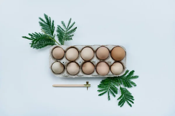 Натуральні Курячі Яйця Тримачі Паперових Яєць Прикрашені Зеленими Гілками Білому Стокове Зображення