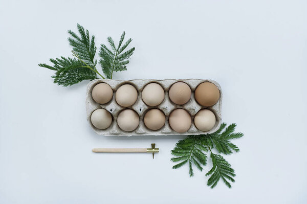 Natural Chicken Eggs Paper Egg Holder Decorated Green Branches White Stock Photo