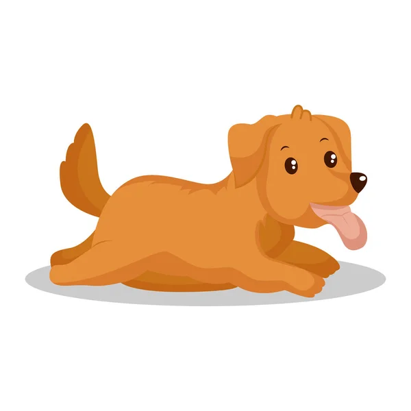 Dog Character Design Illustration — Stock Vector