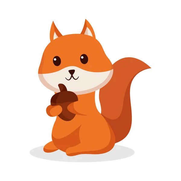 Cute Squirrel Character Design Illustration — Stock Vector