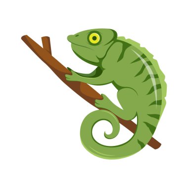 Bukalemun Ağaç Çizgi Filminde