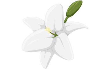 Çiçek Düz Dekor Yapıştırması Tasarımı