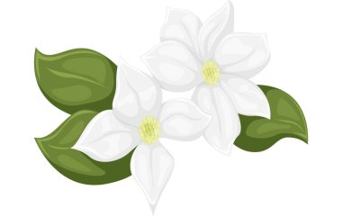 Çiçek Düz Dekor Yapıştırması Tasarımı