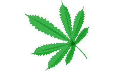 Çiçek Düz Dekor Yapıştırması Tasarımı