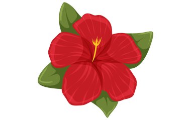 Çiçek Düz Dekor Yapıştırması Tasarımı