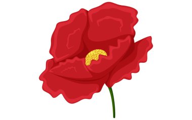 Çiçek Düz Dekor Yapıştırması Tasarımı