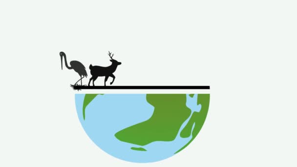 Weltwildtiertag Tiere Und Planet — Stockvideo