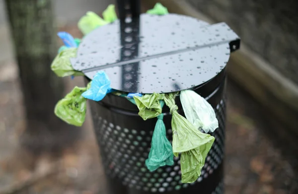 Zelený Deštník Parku — Stock fotografie