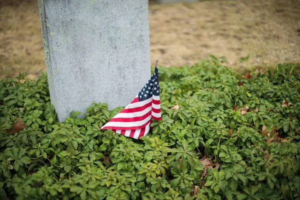 Çimenlerin Üzerinde Amerikan Bayrağı — Stok fotoğraf